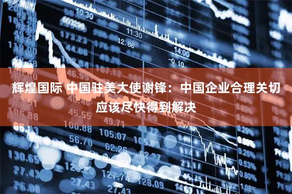 辉煌国际 中国驻美大使谢锋：中国企业合理关切应该尽快得到解决