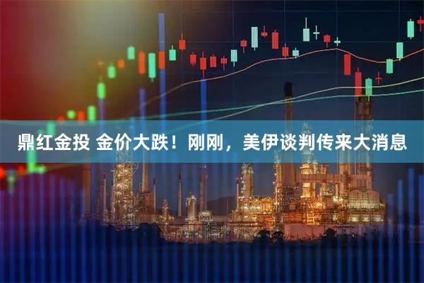 鼎红金投 金价大跌！刚刚，美伊谈判传来大消息