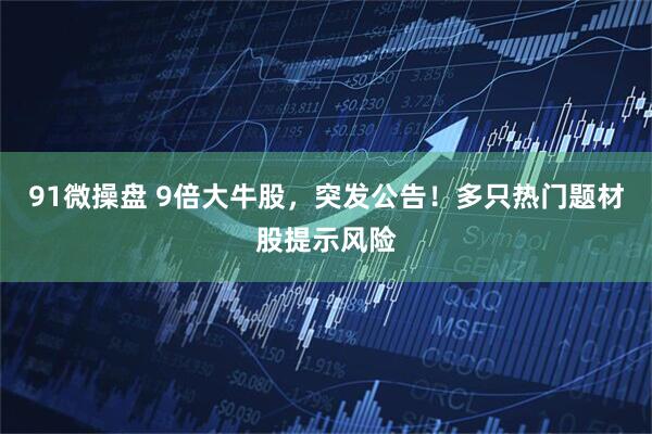 91微操盘 9倍大牛股，突发公告！多只热门题材股提示风险