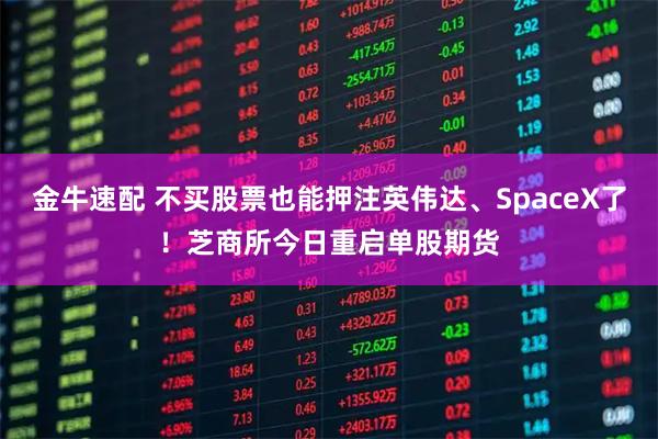 金牛速配 不买股票也能押注英伟达、SpaceX了！芝商所今日重启单股期货